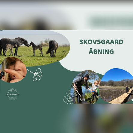 Åbning af ny sæson med vilde naturoplevelser på Naturdestination Skovsgaard