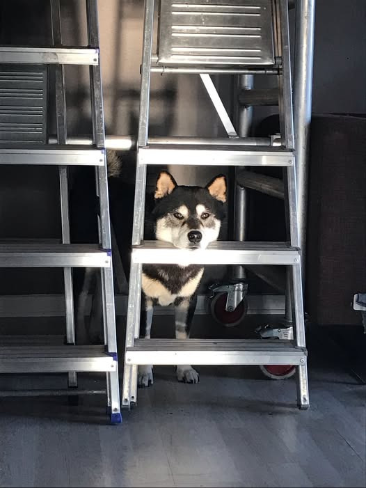 Fysioterapien Lund kan hjælpe dig med at bryde fri fra kroppens begrænsninger