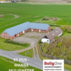 Opslagsbillede
