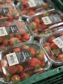 Midtjydsk Gartnerhal lokker med årets sidste danske jordbær