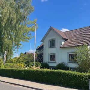 Opslagsbillede