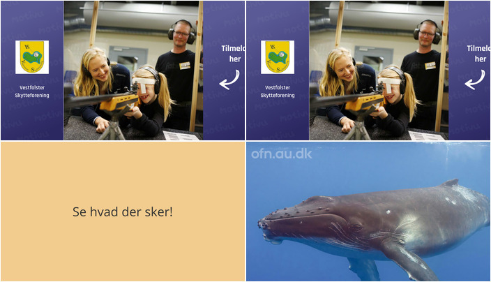 Udforsk skydesport og hvalernes verden i Nørre Alslev den kommende uge