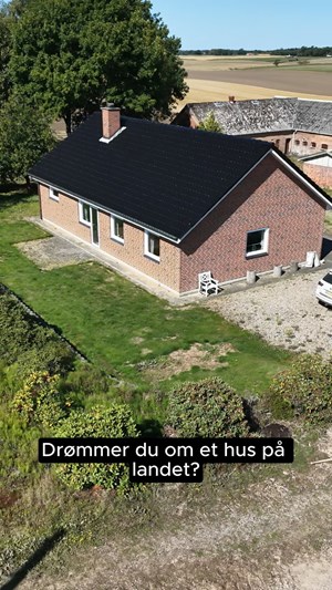 opslagsbillede