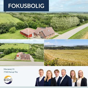 Opslagsbillede