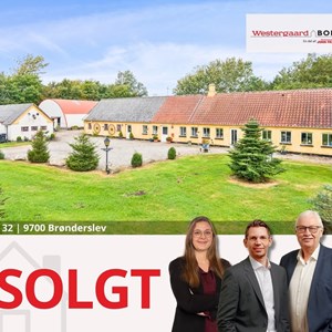 Opslagsbillede