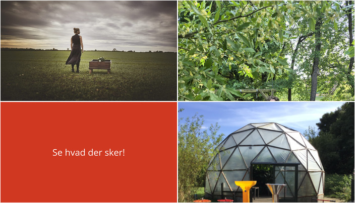 Oplev Brande i weekenden: Musikteater, permakulturforedrag og æblemostning