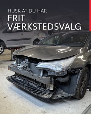 opslagsbillede