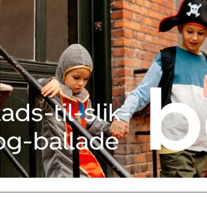 Opslagsbillede