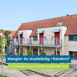 Opslagsbillede