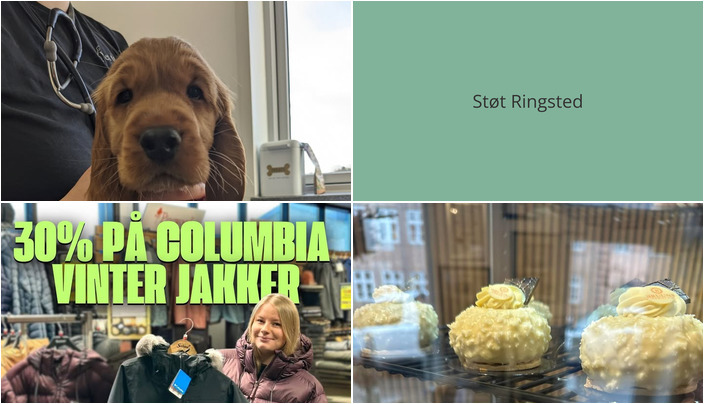 Nyt fra Slagelse Camping og Outdoor Center, Vet til dig og Bruuns Chokolade