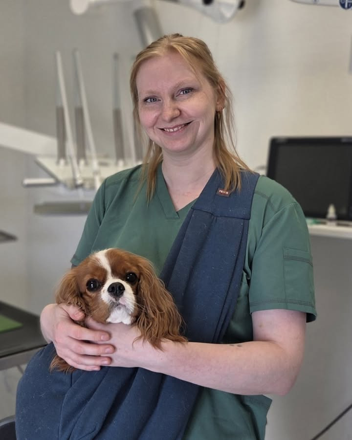 Dyrehospitalet Heden ApS præsenterer veterinærsygeplejersken Sara