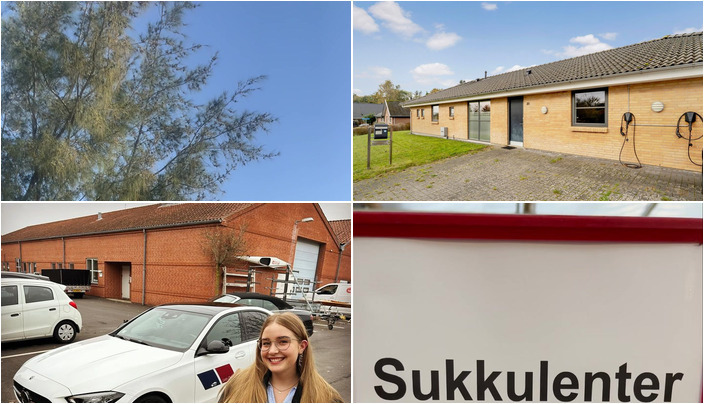 Nyt fra EDC Mæglerne Hedensted, StensballeGaard Golfklub, Midtjysk blomstermarked  og 1 anden