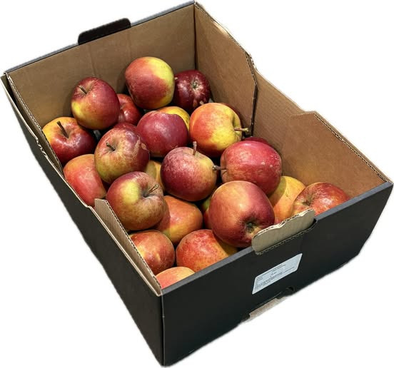 Midtjysk Gartnerhal tilbyder efterårets bedste madæble på tilbud