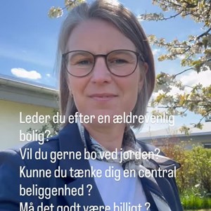Opslagsbillede
