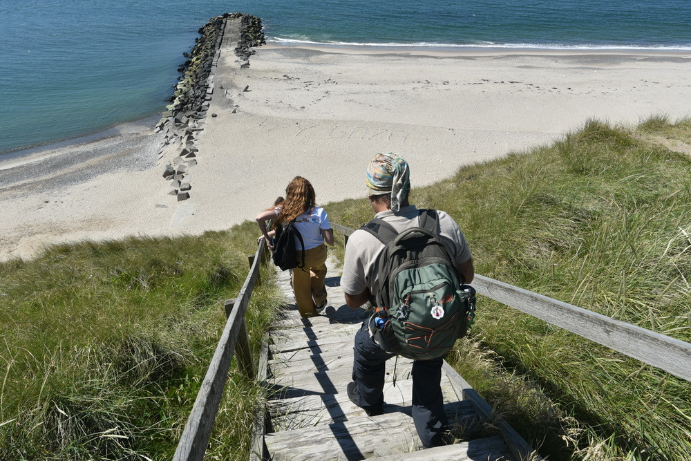 Guidet tur gennem istiderne ved Bovbjerg Klint