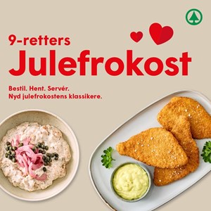 opslagsbillede