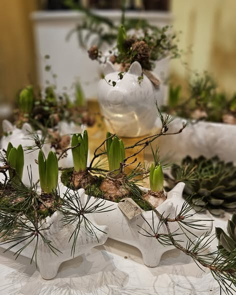 Knud grisen bringer juleånd til Birthes Blomster med særligt tilbud