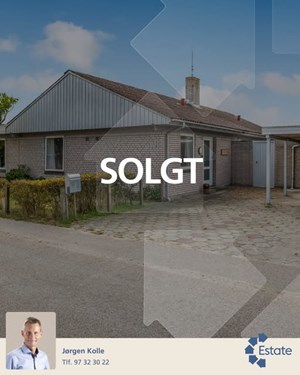 opslagsbillede