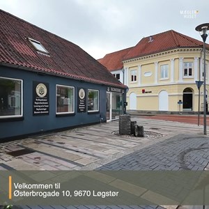 Opslagsbillede
