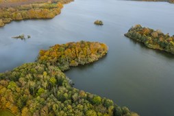 Oplev vandets betydning i Naturpark Åmosen