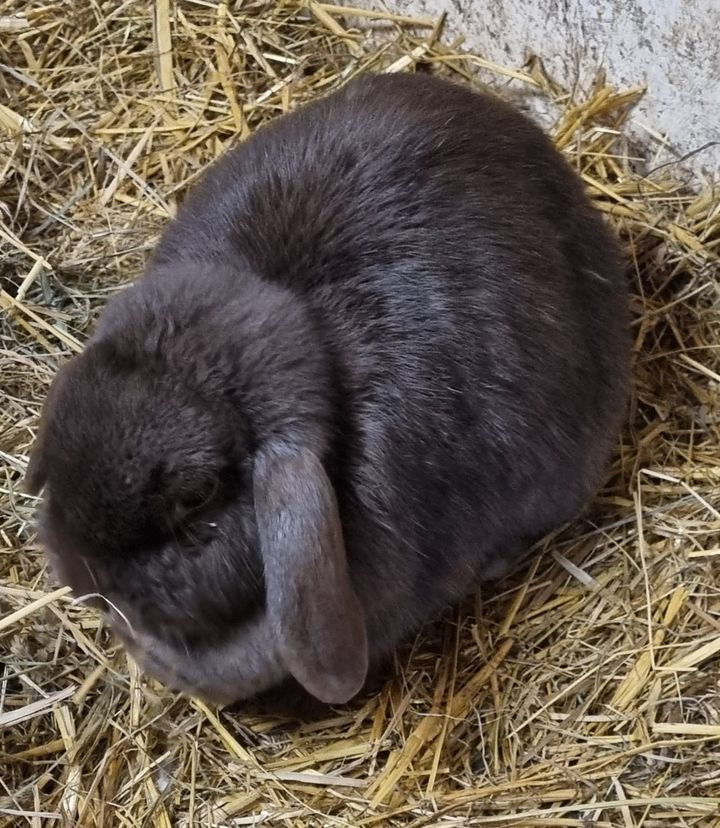 Hold trit med lokalområdet: Nyt fra Sæby