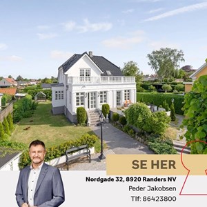 Opslagsbillede