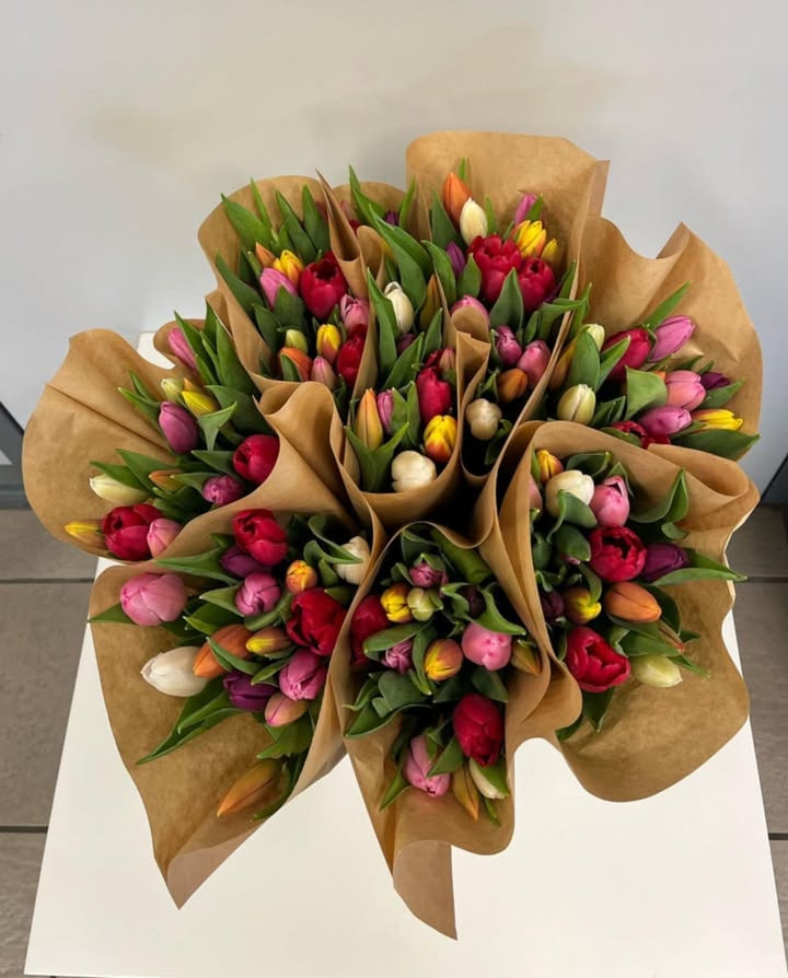 Løvbjerg Frederikshavn tilbyder stort bundt tulipaner til lav pris i dag