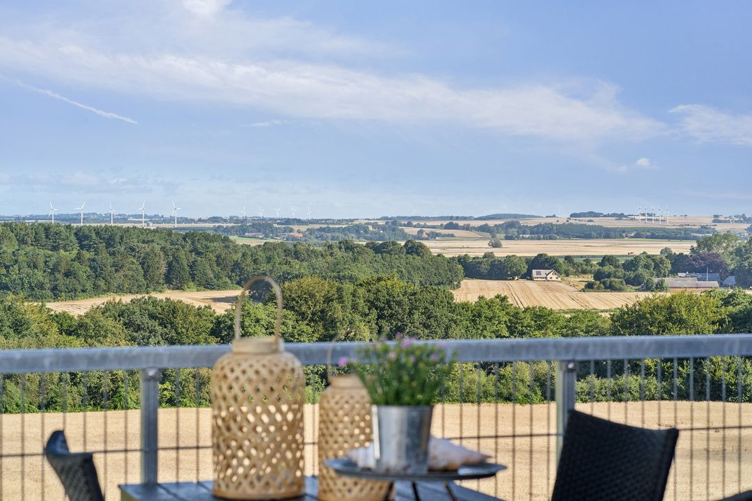 RealMæglerne Klaus Larsen åbner for bud: Unik villa med panoramaudsigt i licitation