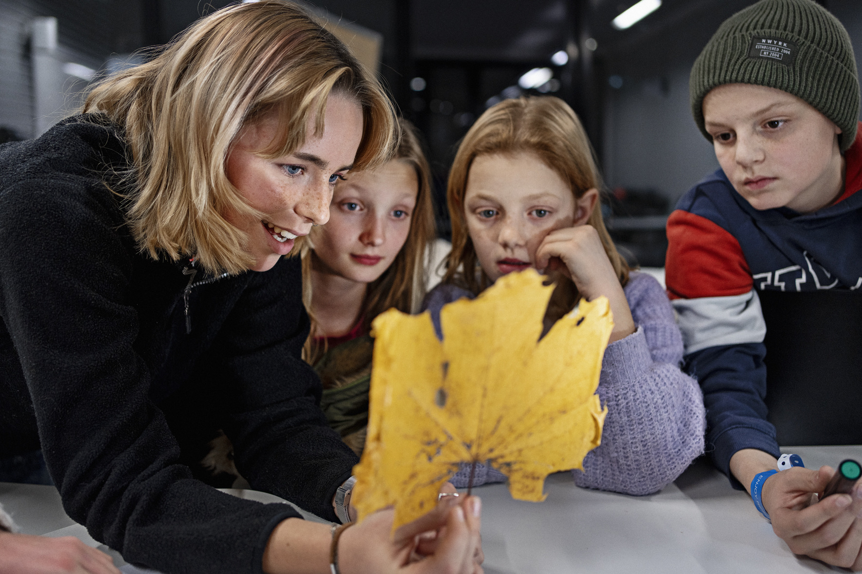 Børn med “sultne hjerner” går til videnskab i Gentofte 