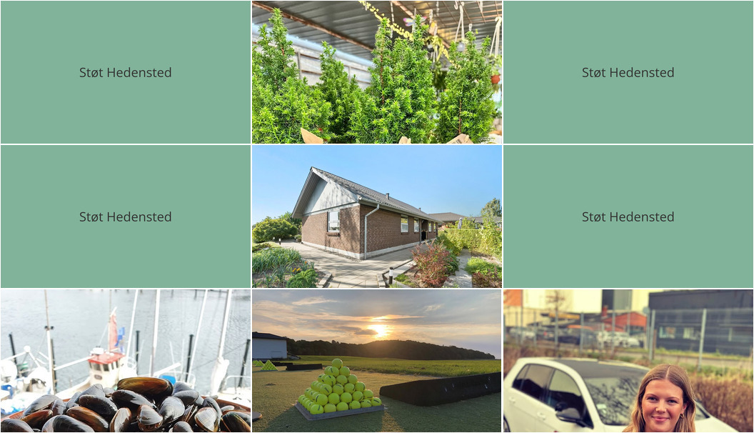 Nyt fra Lets Drive, Beringsslagteren ApS, Midtjysk blomstermarked  og 2 andre