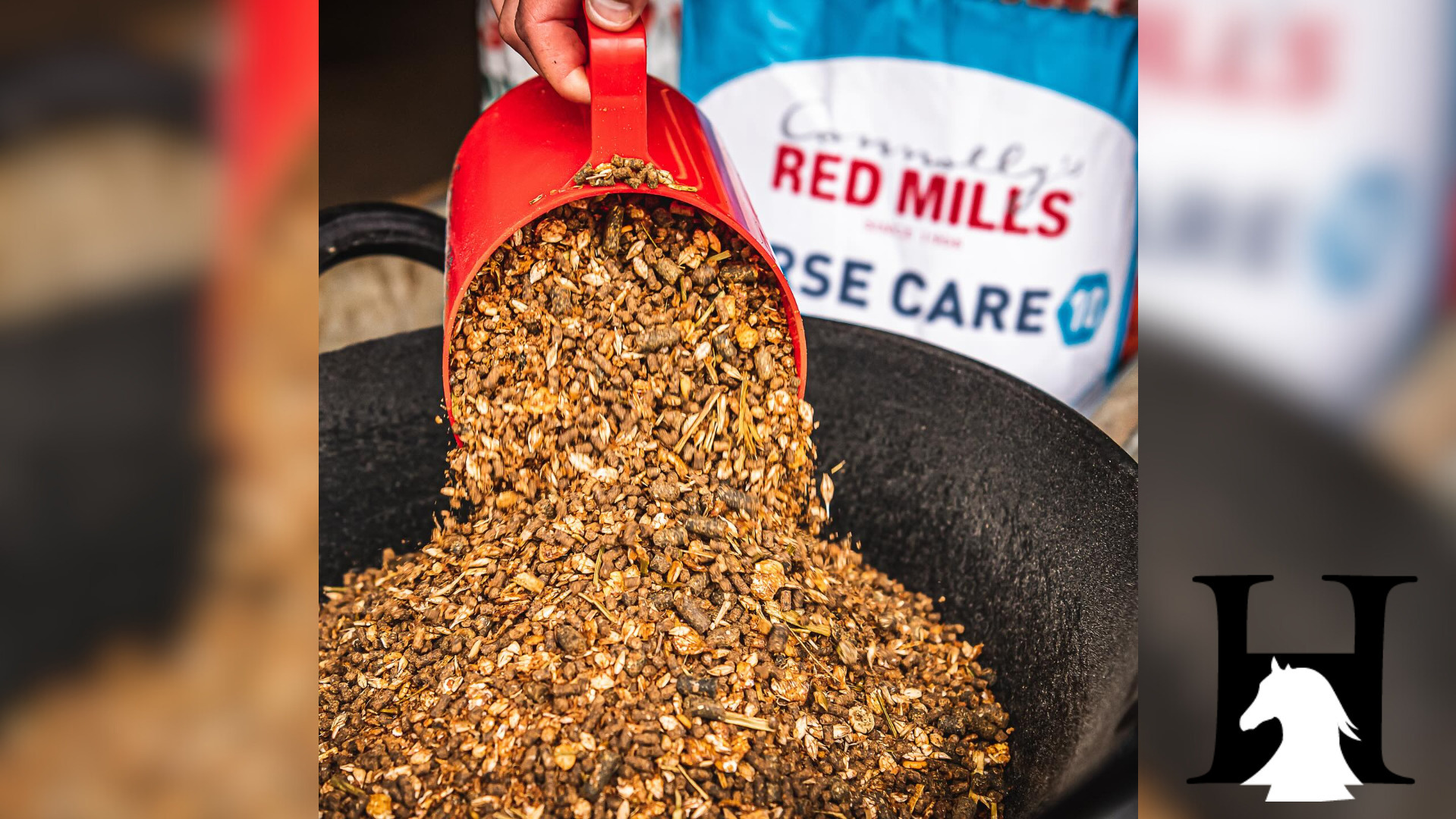 Horse Choice: Det bedste foder til din hest