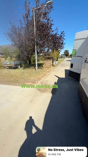 opslagsbillede