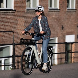 opslagsbillede