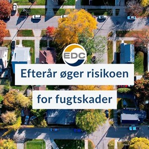 Opslagsbillede