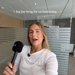 Opslagsbillede