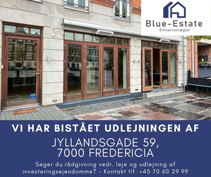 Opslagsbillede