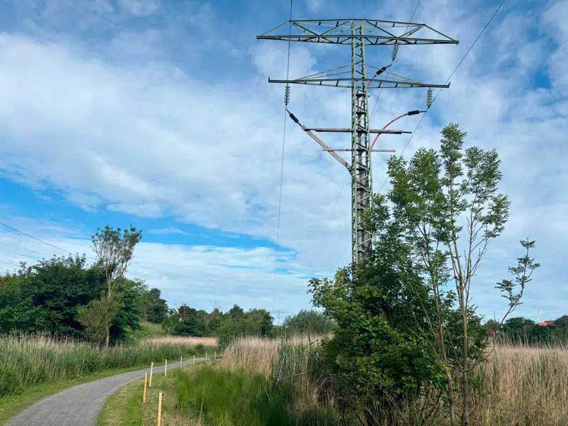 Stierne i Koldings ådal er igen åbne efter fjernelse af gamle elmaster