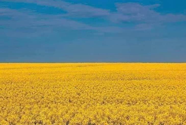 Nyt på opslagstavlen i Randers