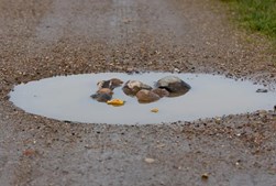 Grusveje i Skive udfordret af vintervejrets skader