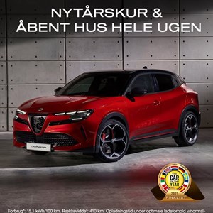 Opslagsbillede