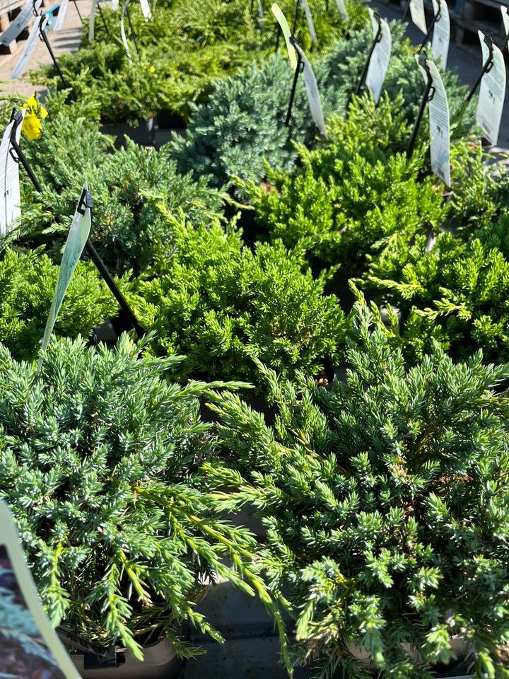 Opdatér dig her: Det nyeste fra Horsens