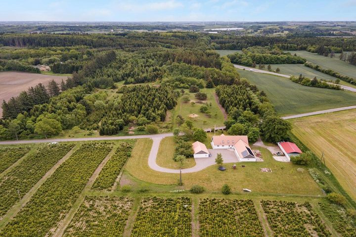 Hold dig ajour med dagens opdateringer fra Aars