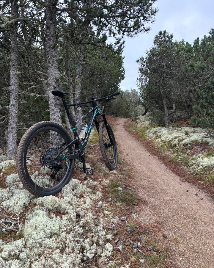 Fri BikeShop Frederikshavn takker entusiasterne bag MTB-sporet i Skagen for deres indsats