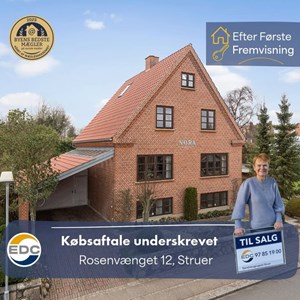 Opslagsbillede