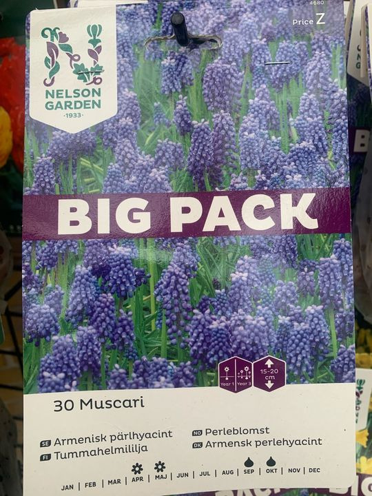 Hold dig ajour med dagens opdateringer fra Brønderslev