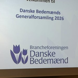 Opslagsbillede