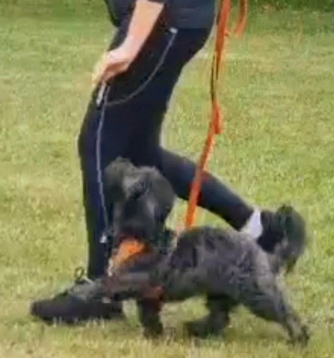 Hold dig ajour med dagens opdateringer fra Sæby