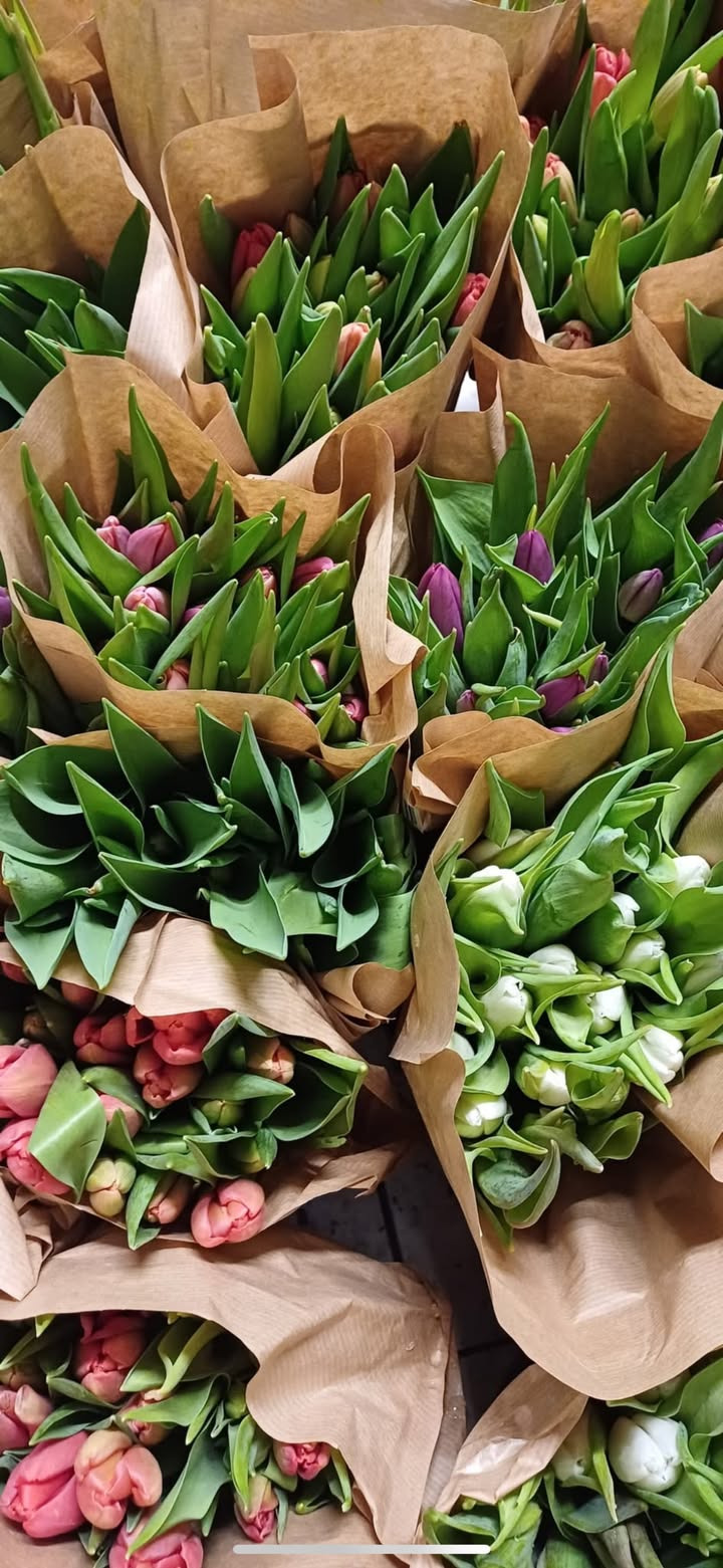 Meny Hobro tilbyder stor weekendbuket til 49,95 kr. afhentet i dag