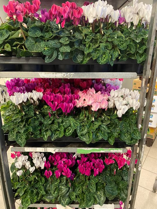 Hold dig ajour med dagens opdateringer fra Viby J