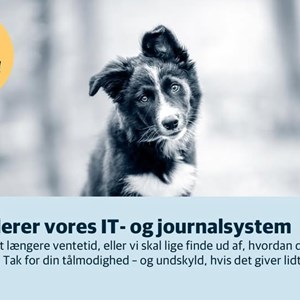 Opslagsbillede